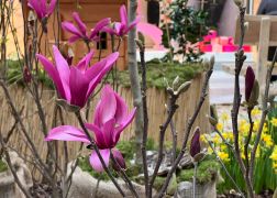 Fruehling In Jenas Goethe Galerie 2024 03